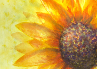 Sunflower on a Warm Sunny Day